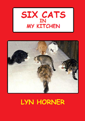 Six Cats In My Kitchen