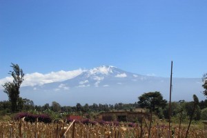 kili