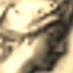 Athena's profile