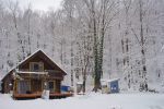 cold