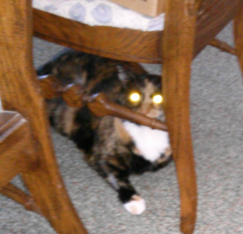 chair laser