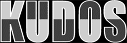 Kudos (video game)