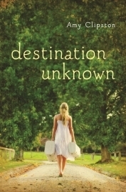 Destination Unknown, by Amy Clipston