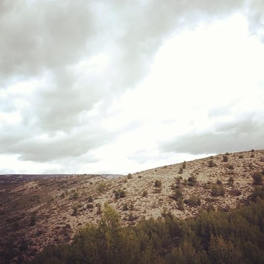 Thym + romarin heaven #life #luberon