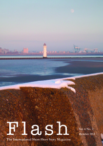 Flash 6.2 Front Cover