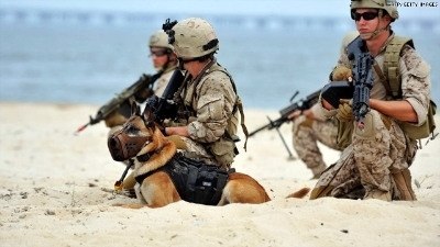  photo 924224de-b8bb-45c0-a039-2d5543268470_zps947d8a32.jpg