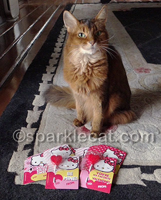 Still wondering why they are not tuna flavor
