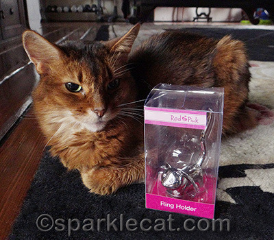 Sadly, it does not double as a cat toy