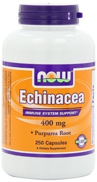 now-echinacea