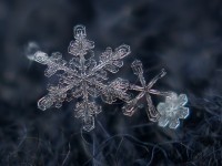 Snowflake