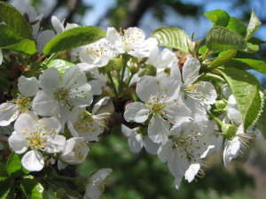 Hoping March ends like this!