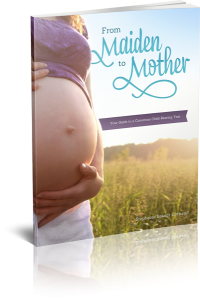 maiden to mother book-preview