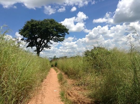 Tavel to ngandanjika (20)