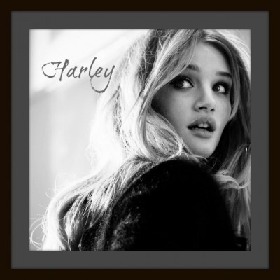 harley