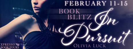 InPursuitBlitzBanner2