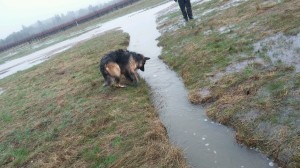 Let's try that again!