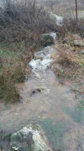 Water water everywhere!