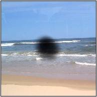 leadership blind spots