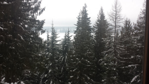 view