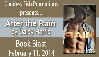 http://goddessfishpromotions.blogspot.com/2013/11/virtual-book-blast-after-rain-by-daisy.html