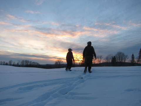 Afternoon walk in Melvin's field