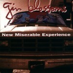 new miserable experience