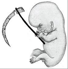 Life Unfolding