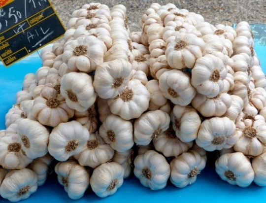 garlic stand