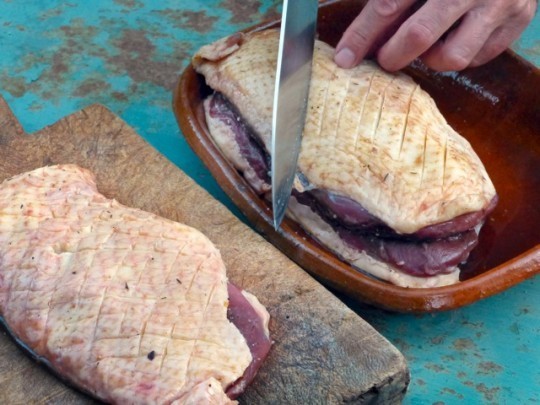 Scoring duck for grill.