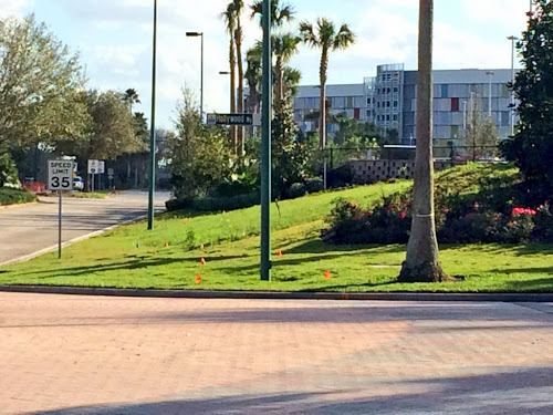 Universal Orlando Cabana Bay pedestrian bridge