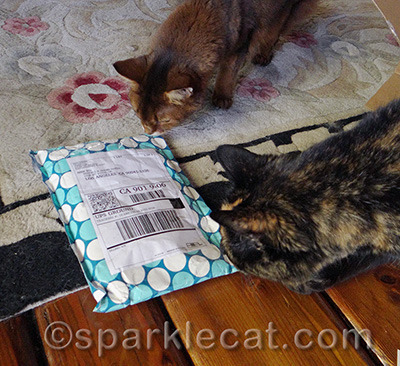 It's always exciting to get a package from Chewy.com!