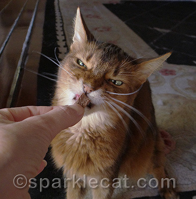 Don't laugh at my face!