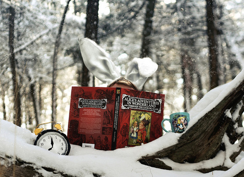 Photo by Joel Robison