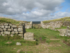 HWP_25