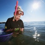 Dr. Anitra Thorhaug, at in long island. SeagrassesWater