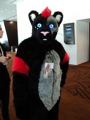 small furry1.jpg
