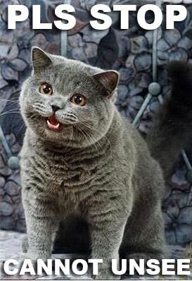 happycat03