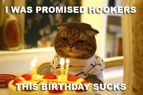 birthday-cat02