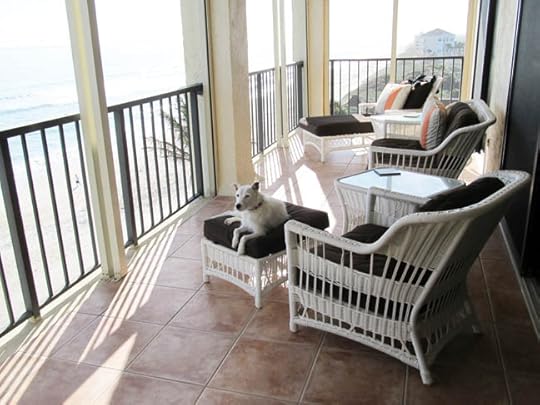 Condo Porch, Belle, Sea x