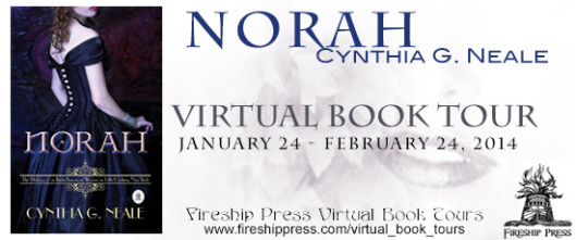 Norah Tour Graphic