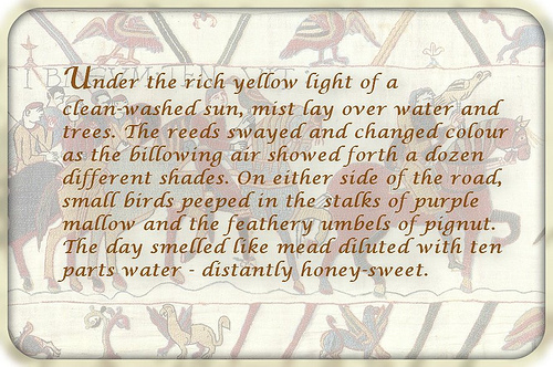 The Reluctant Beserker 3