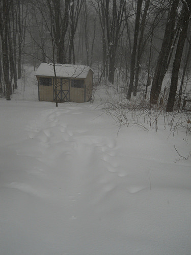 snowy