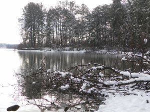 SAMSUNG DIGITAL CAMERA