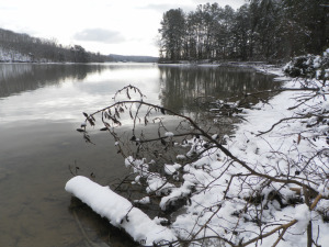 SAMSUNG DIGITAL CAMERA