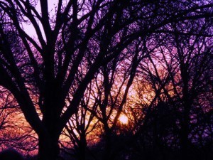 Needle_and_Haystack_Life_by_SeaStar114