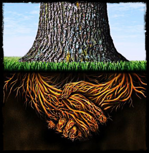roots