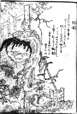 Kameosa