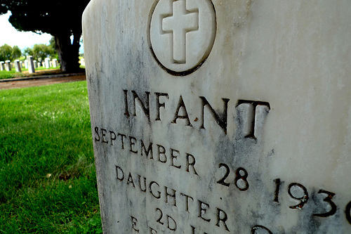 photo walk 8/15/2012