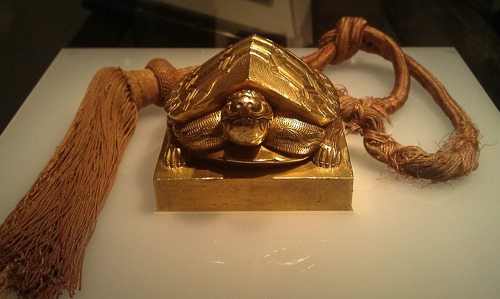Turtle Seal