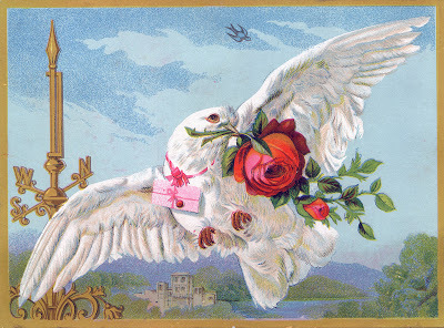 Dove-Roses-Valentine